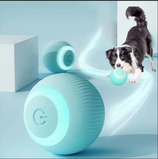 PawTech Smart Playmate